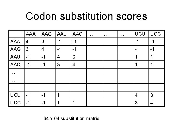 Codon substitution scores AAA AAG AAU AAC AAA 4 3 -1 AAG 3 4 Codon substitution scores AAA AAG AAU AAC AAA 4 3 -1 AAG 3 4