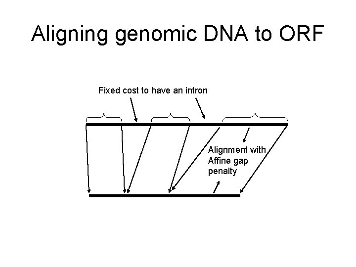 Aligning genomic DNA to ORF Fixed cost to have an intron Alignment with Affine