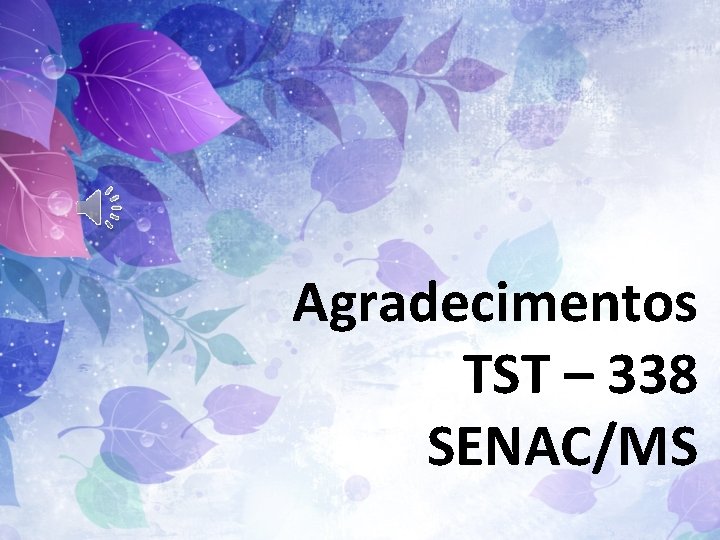 Agradecimentos TST – 338 SENAC/MS 