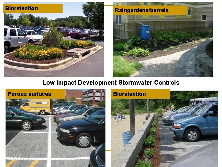 Bioretention Raingardens/barrels Low Impact Development Stormwater Controls Porous surfaces Bioretention 