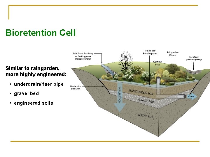 Bioretention Cell Similar to raingarden, more highly engineered: • underdrain/riser pipe • gravel bed