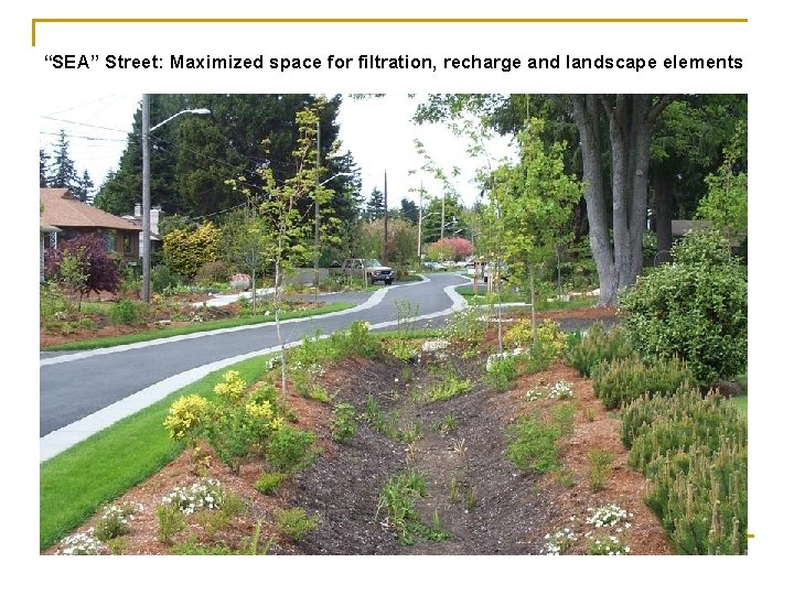 “SEA” Street: Maximized space for filtration, recharge and landscape elements 