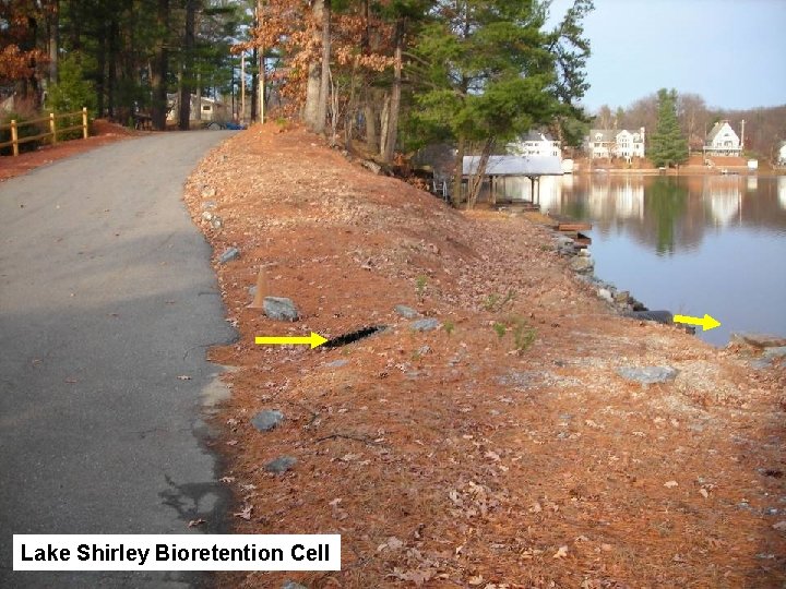 Lake Shirley Bioretention Cell 