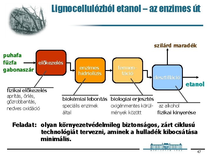 Lignocellulózból etanol – az enzimes út szilárd maradék puhafa fűzfa előkezelés gabonaszár fizikai előkezelés