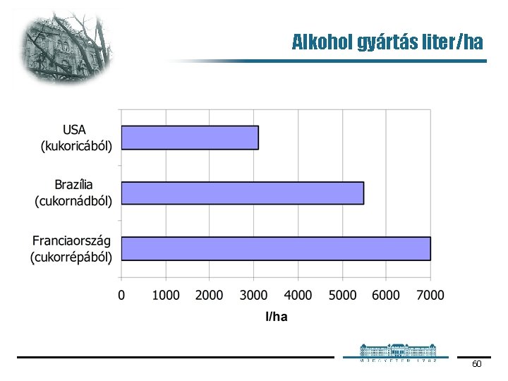 Alkohol gyártás liter/ha 60 