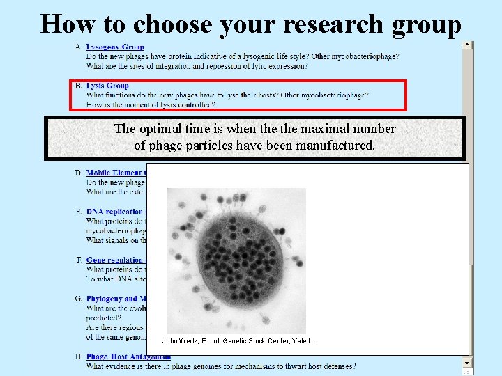 How to choose your research group The optimal time is when the maximal number