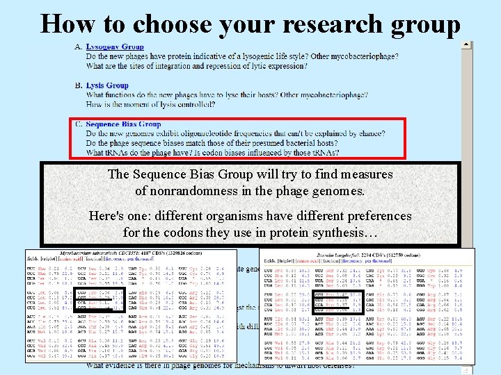 How to choose your research group The Sequence Bias Group will try to find