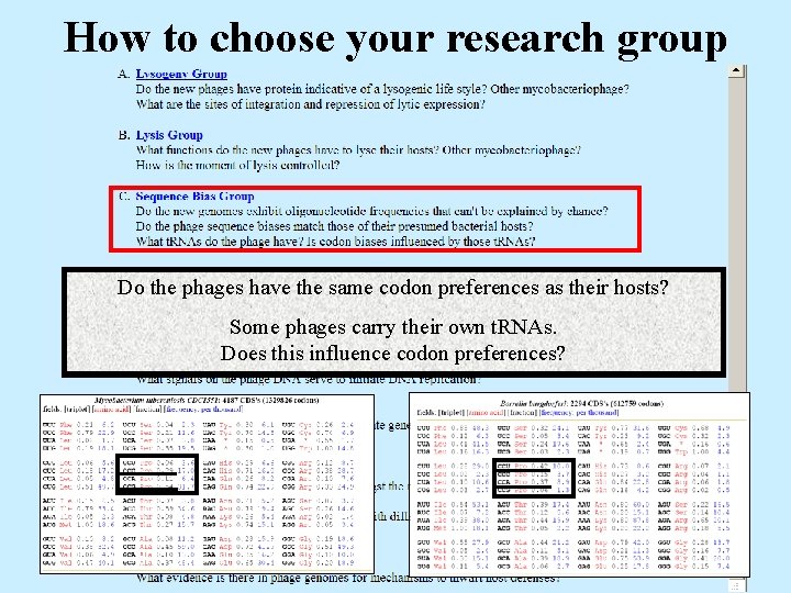 How to choose your research group Do the phages have the same codon preferences