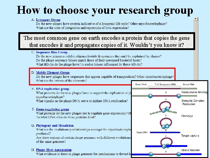 How to choose your research group The most common gene on earth encodes a