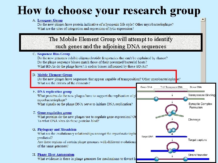 How to choose your research group The Mobile Element Group will attempt to identify