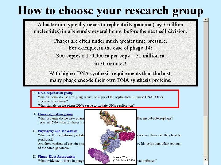 How to choose your research group A bacterium typically needs to replicate its genome