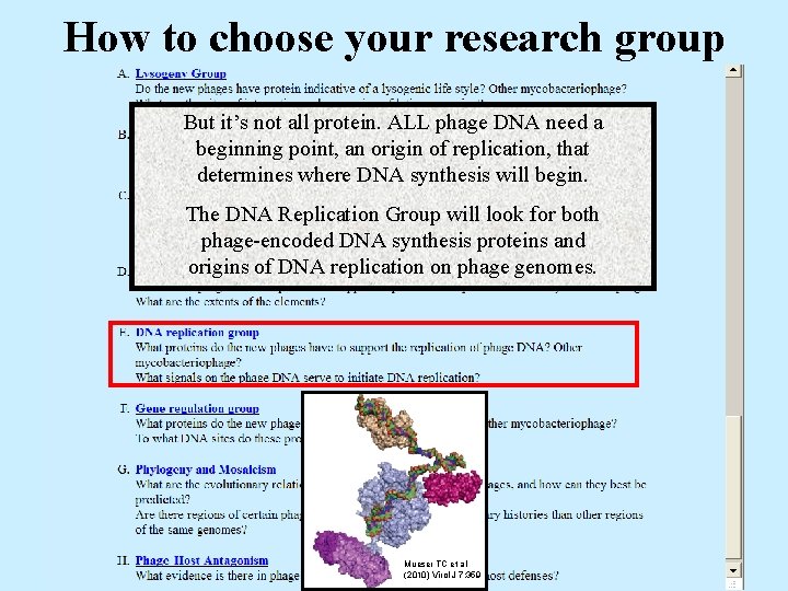 How to choose your research group But it’s not all protein. ALL phage DNA