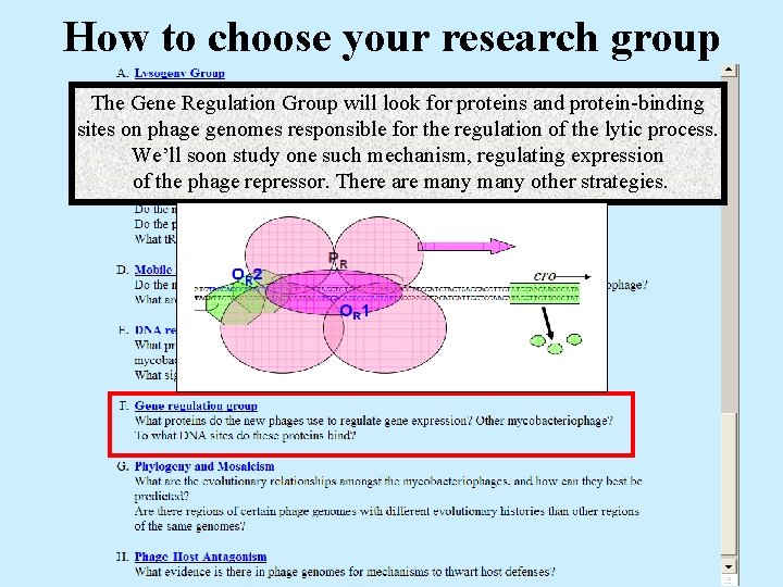 How to choose your research group The Gene Regulation Group will look for proteins