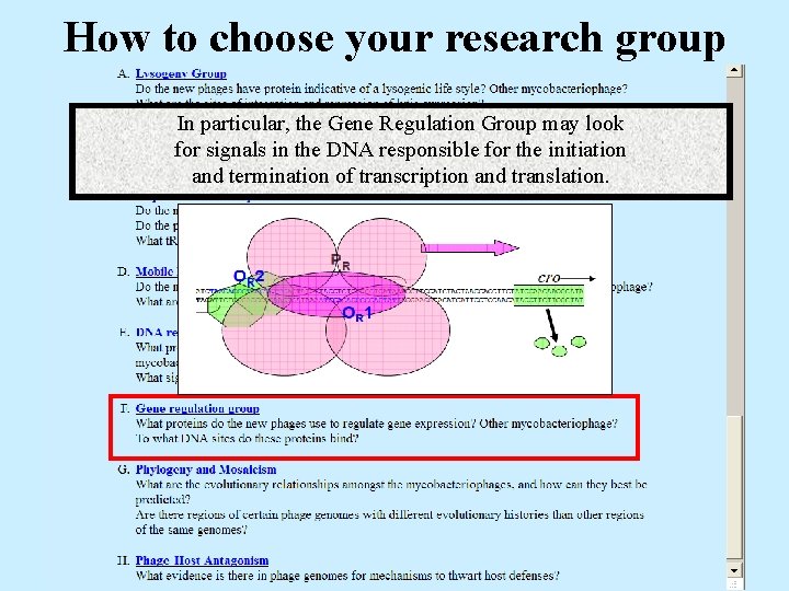 How to choose your research group In particular, the Gene Regulation Group may look