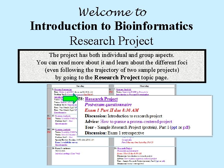 Introduction to Bioinformatics Research Project The project has both individual and group aspects. You