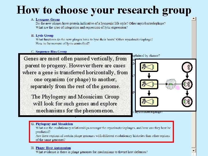 How to choose your research group Genes are most often passed vertically, from parent