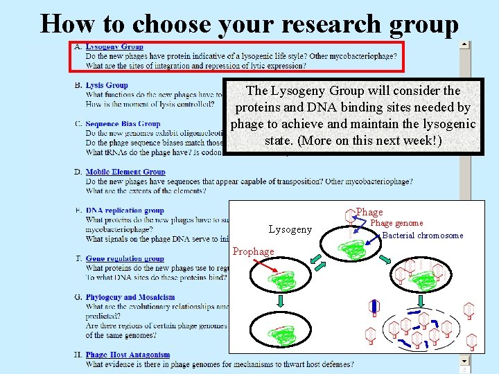 How to choose your research group The Lysogeny Group will consider the proteins and
