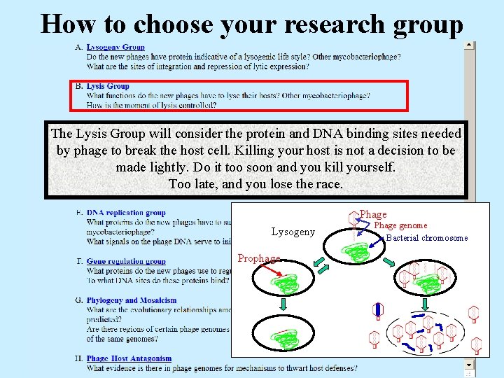 How to choose your research group The Lysis Group will consider the protein and