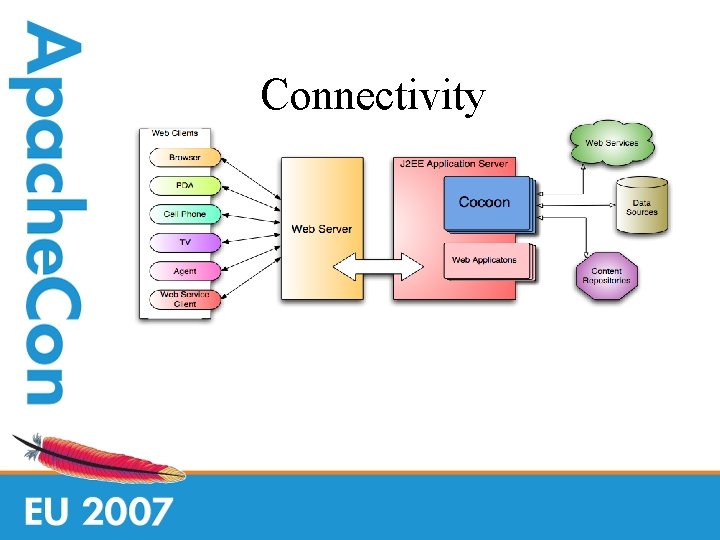 Connectivity 