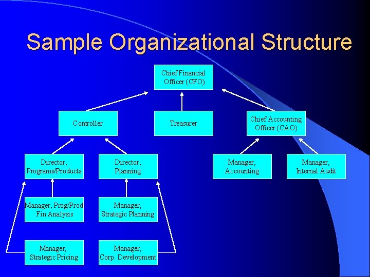 Sample Organizational Structure Chief Financial Officer (CFO) Controller Treasurer Director, Programs/Products Director, Planning Manager,