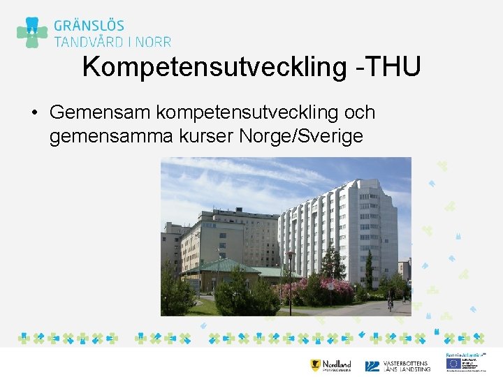 Kompetensutveckling -THU • Gemensam kompetensutveckling och gemensamma kurser Norge/Sverige 
