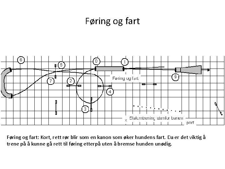 Føring og fart: Kort, rett rør blir som en kanon som øker hundens fart.