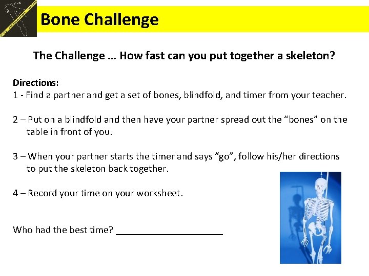 Bone Challenge The Challenge … How fast can you put together a skeleton? Directions: Bone Challenge The Challenge … How fast can you put together a skeleton? Directions: