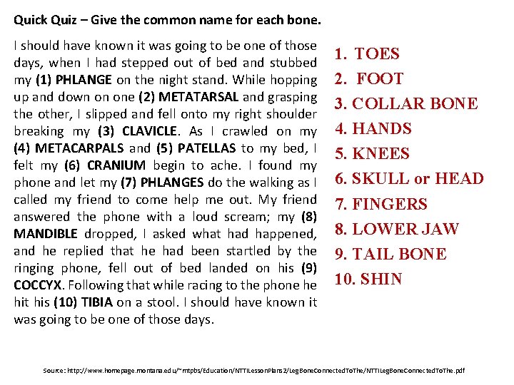 Quick Quiz – Give the common name for each bone. I should have known Quick Quiz – Give the common name for each bone. I should have known