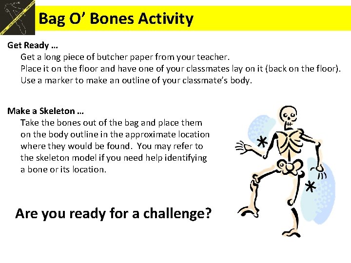 Bag O’ Bones Activity Get Ready … Get a long piece of butcher paper Bag O’ Bones Activity Get Ready … Get a long piece of butcher paper