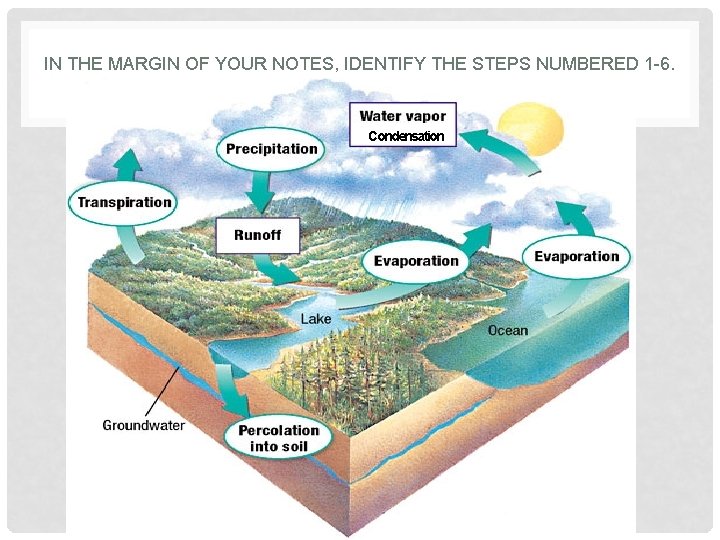 IN THE MARGIN OF YOUR NOTES, IDENTIFY THE STEPS NUMBERED 1 -6. Condensation 