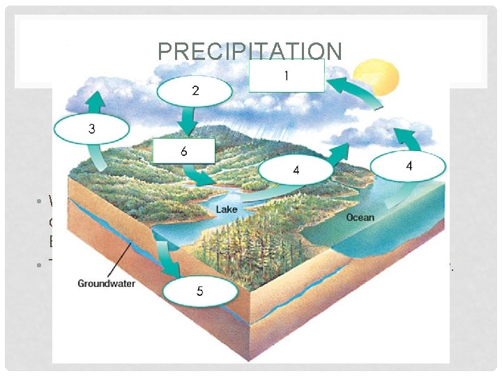 PRECIPITATION • When enough water accumulates in the atmosphere it collects a water droplets,