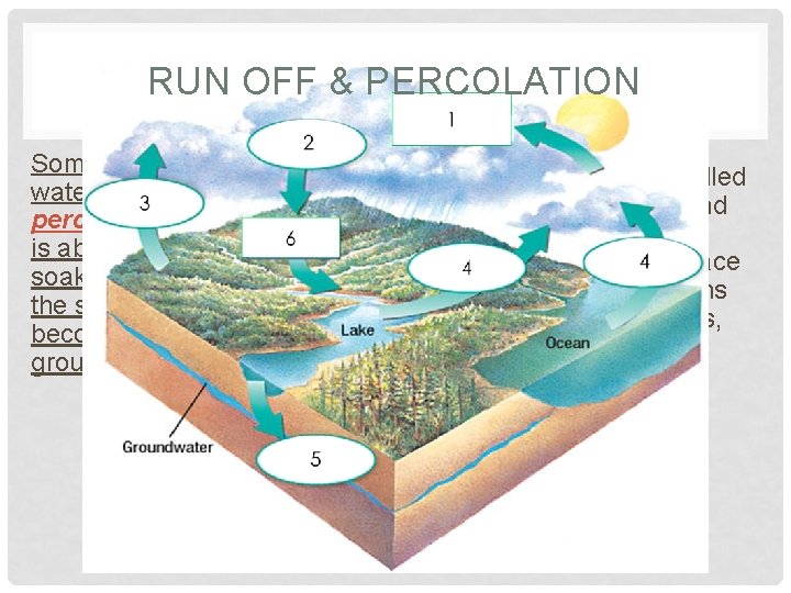 RUN OFF & PERCOLATION Some of this water percolates, or is absorbed or soaked RUN OFF & PERCOLATION Some of this water percolates, or is absorbed or soaked