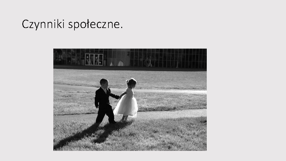 Czynniki społeczne. Czynniki społeczne.