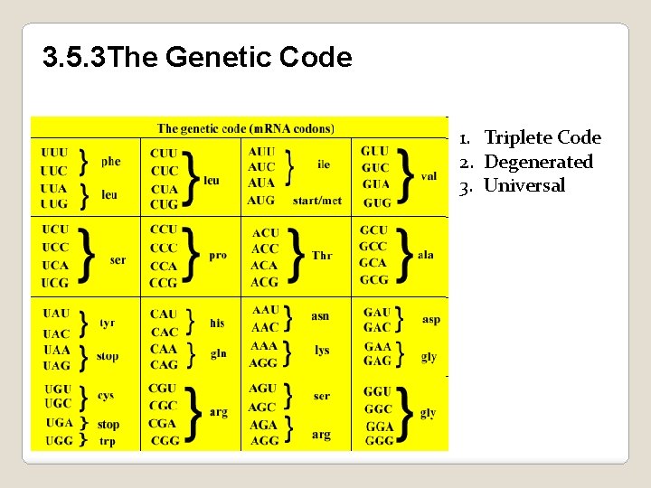3. 5. 3 The Genetic Code 1. Triplete Code 2. Degenerated 3. Universal 