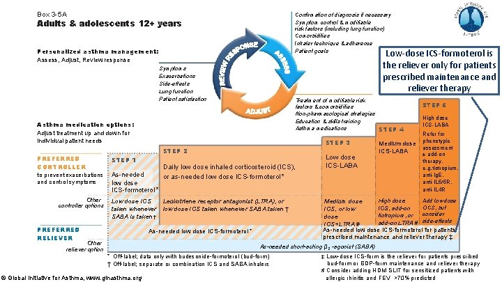 Box 3 -5 A Confirmation of diagnosis if necessary Symptom control & modifiable risk