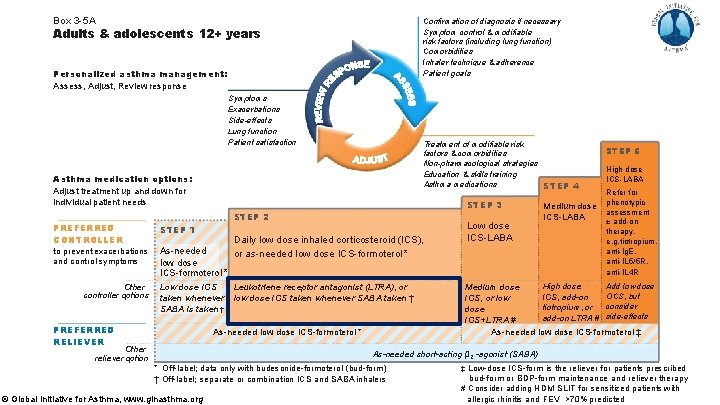 Box 3 -5 A Confirmation of diagnosis if necessary Symptom control & modifiable risk