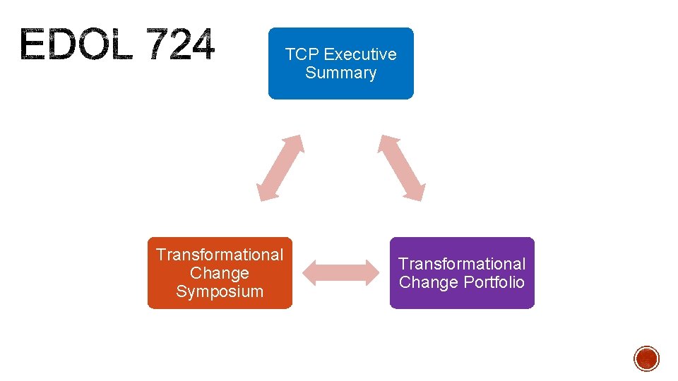 TCP Executive Summary Transformational Change Symposium Transformational Change Portfolio 