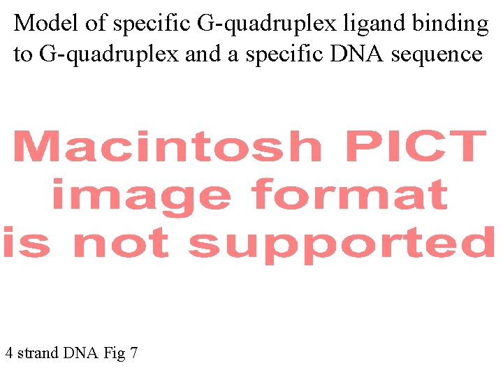 Model of specific G-quadruplex ligand binding to G-quadruplex and a specific DNA sequence 4