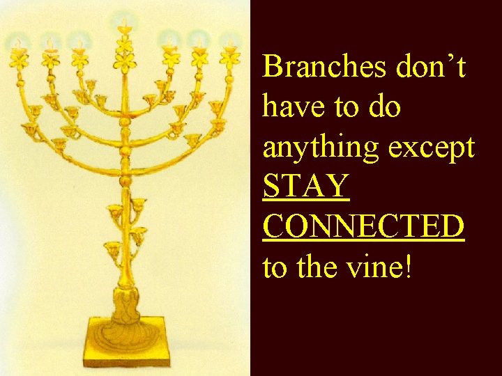 Branches don’t have to do anything except STAY CONNECTED to the vine! 