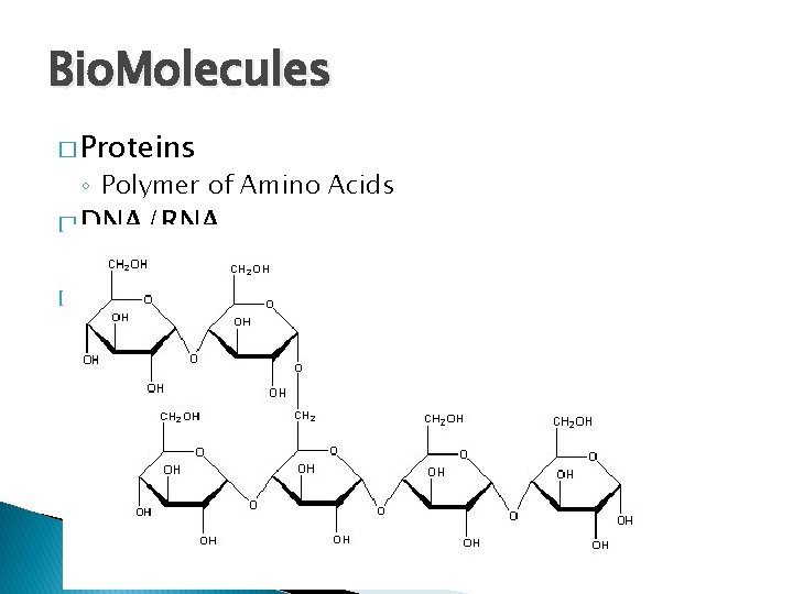 Bio. Molecules � Proteins ◦ Polymer of Amino Acids � DNA/RNA ◦ Polymer of
