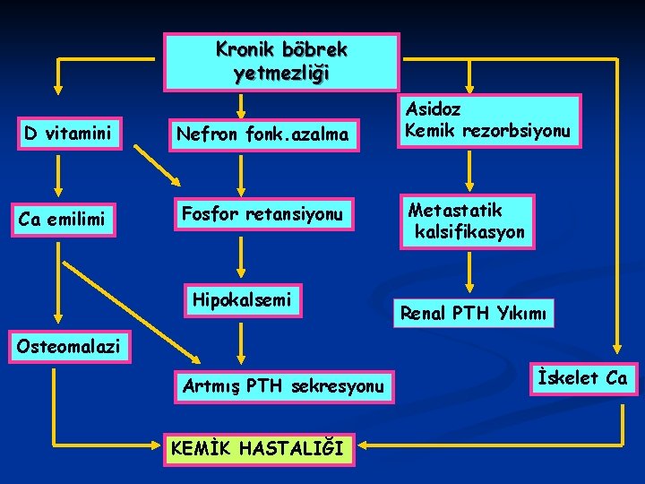 Kronik böbrek yetmezliği D vitamini Ca emilimi Nefron fonk. azalma Fosfor retansiyonu Hipokalsemi Asidoz