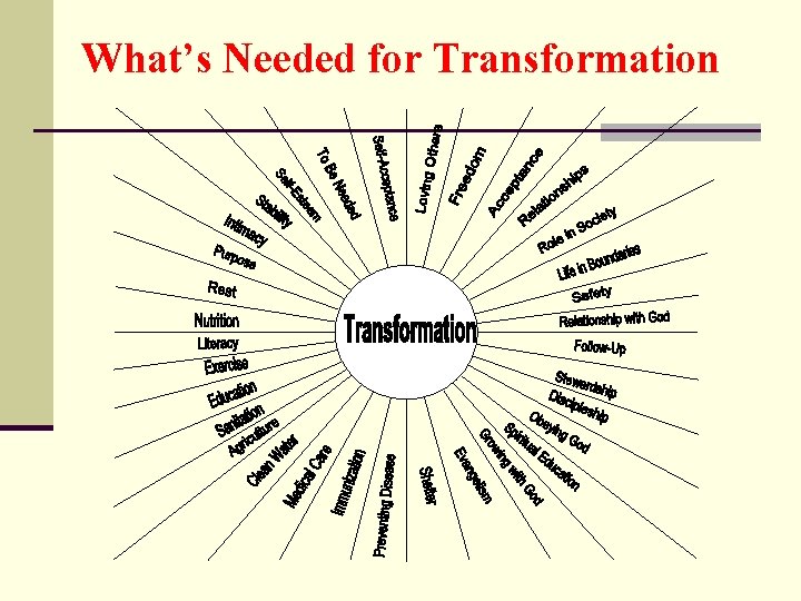 What’s Needed for Transformation 