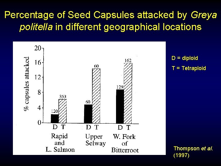 Percentage of Seed Capsules attacked by Greya politella in different geographical locations D =