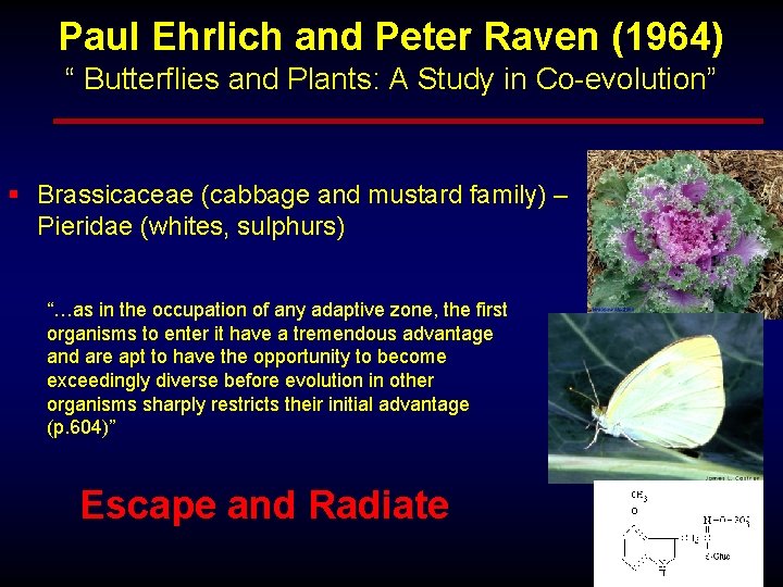 Paul Ehrlich and Peter Raven (1964) “ Butterflies and Plants: A Study in Co-evolution”