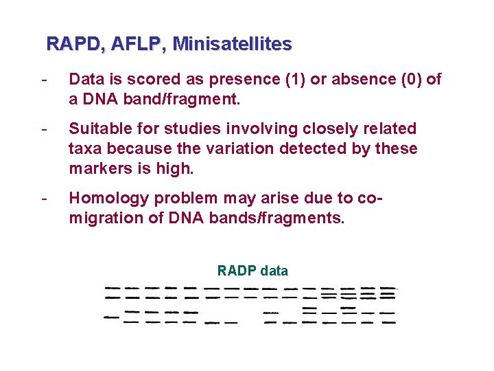 RAPD, AFLP, Minisatellites - Data is scored as presence (1) or absence (0) of