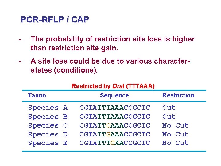 PCR-RFLP / CAP - The probability of restriction site loss is higher than restriction