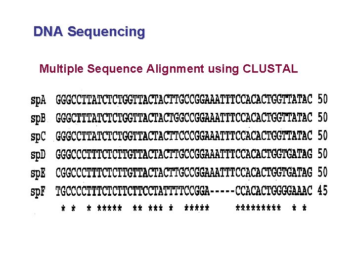 DNA Sequencing Multiple Sequence Alignment using CLUSTAL 