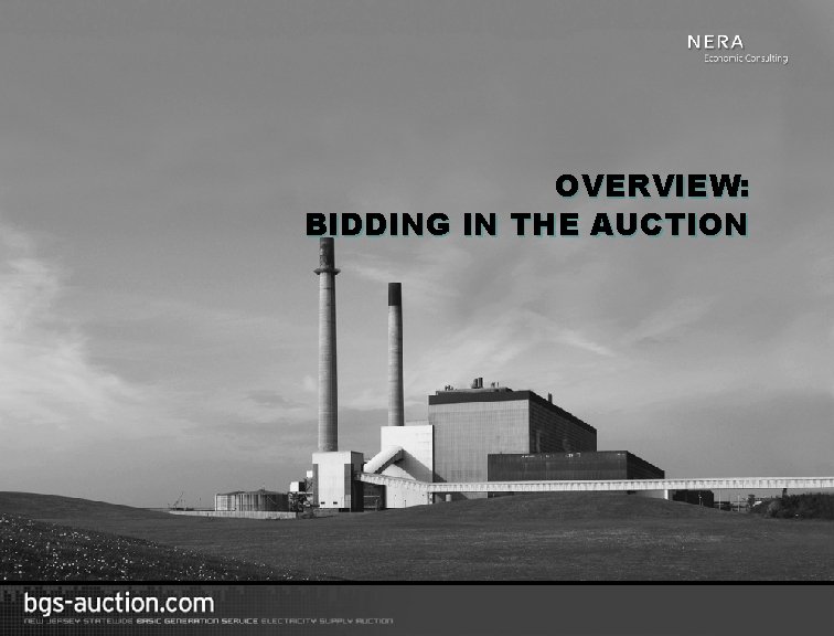 OVERVIEW: BIDDING IN THE AUCTION 