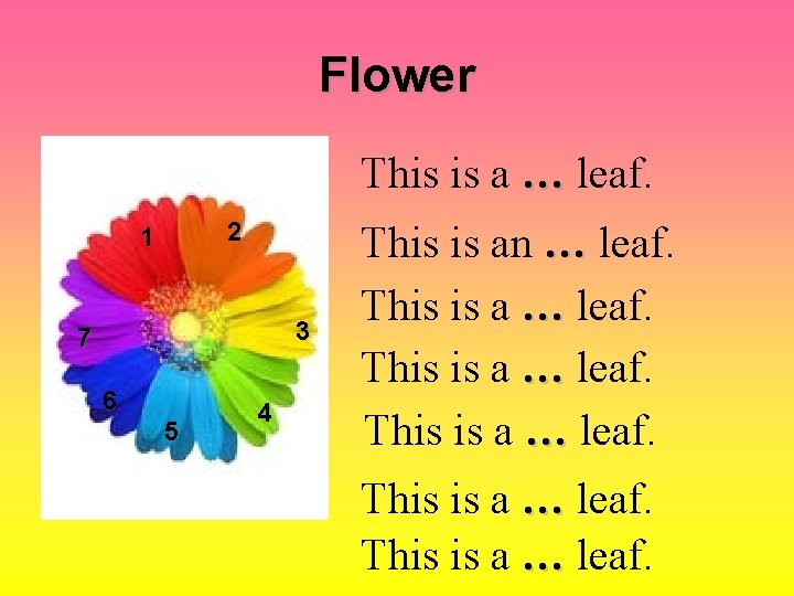 Flower This is a … leaf. 2 1 3 7 6 5 4 This