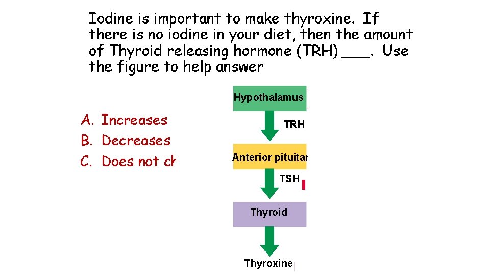 Iodine is important to make thyroxine. If there is no iodine in your diet,